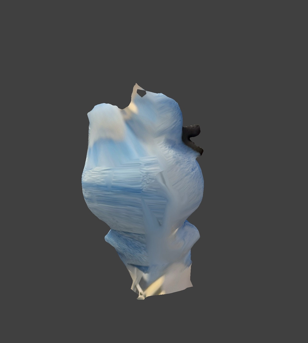 blue bunny scan back